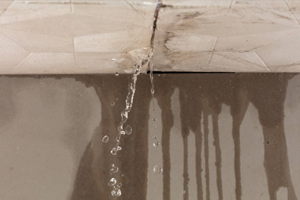 Professional Water Damage Inspection technician working in Polk City, IA
